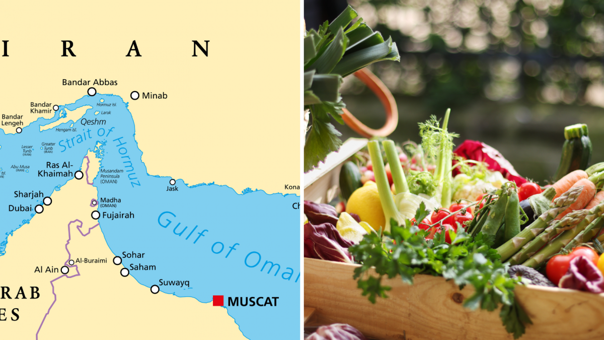 Stanford scientists agree: half of humanity is alive thanks to fertilizers from the Persian Gulf, and Hormuz can block its supply