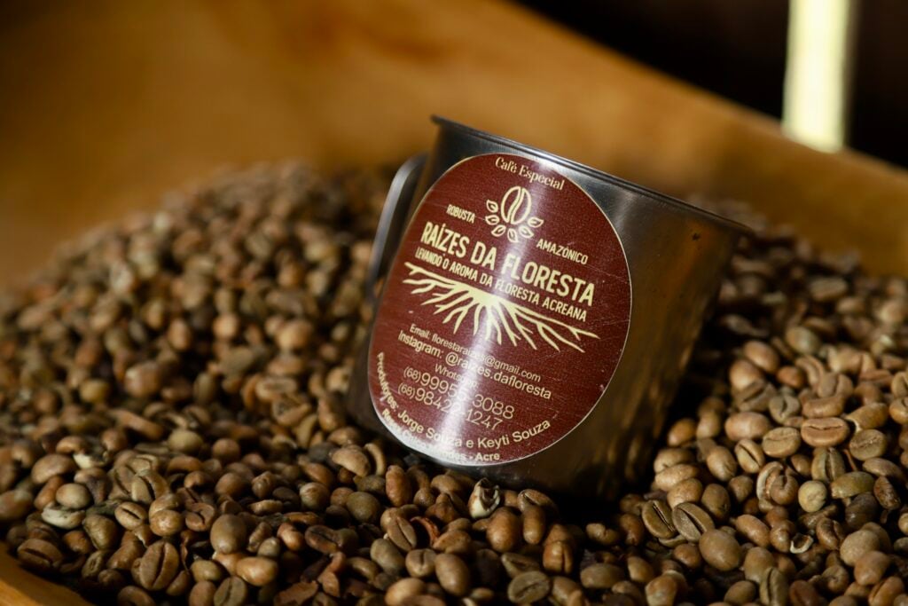 Na floresta amazônica, família descobriu como plantar café dentro dos pilares da sustentabilidade