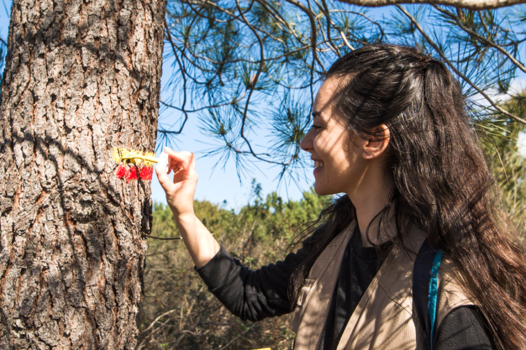 Paid internship at Rota Vicentina combines nature and tourism
