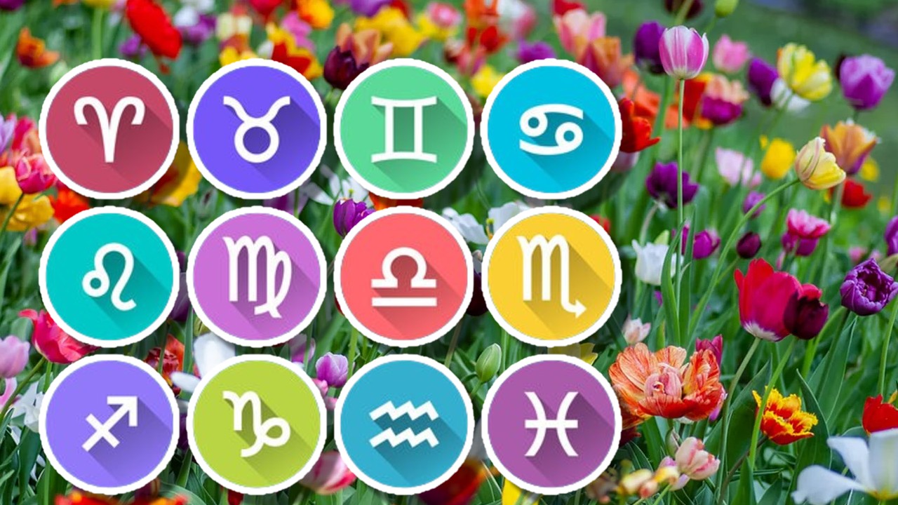 Horoscope March 10, 2026. A zodiac sign attracts the attention and admiration of those around him, and financial negotiations can benefit him