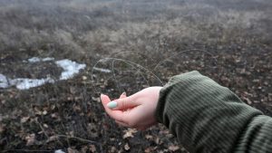 Ukrainian military experts agree: Russia has deployed drones with 40 kilometers of fiber optic cable that no jamming system can stop