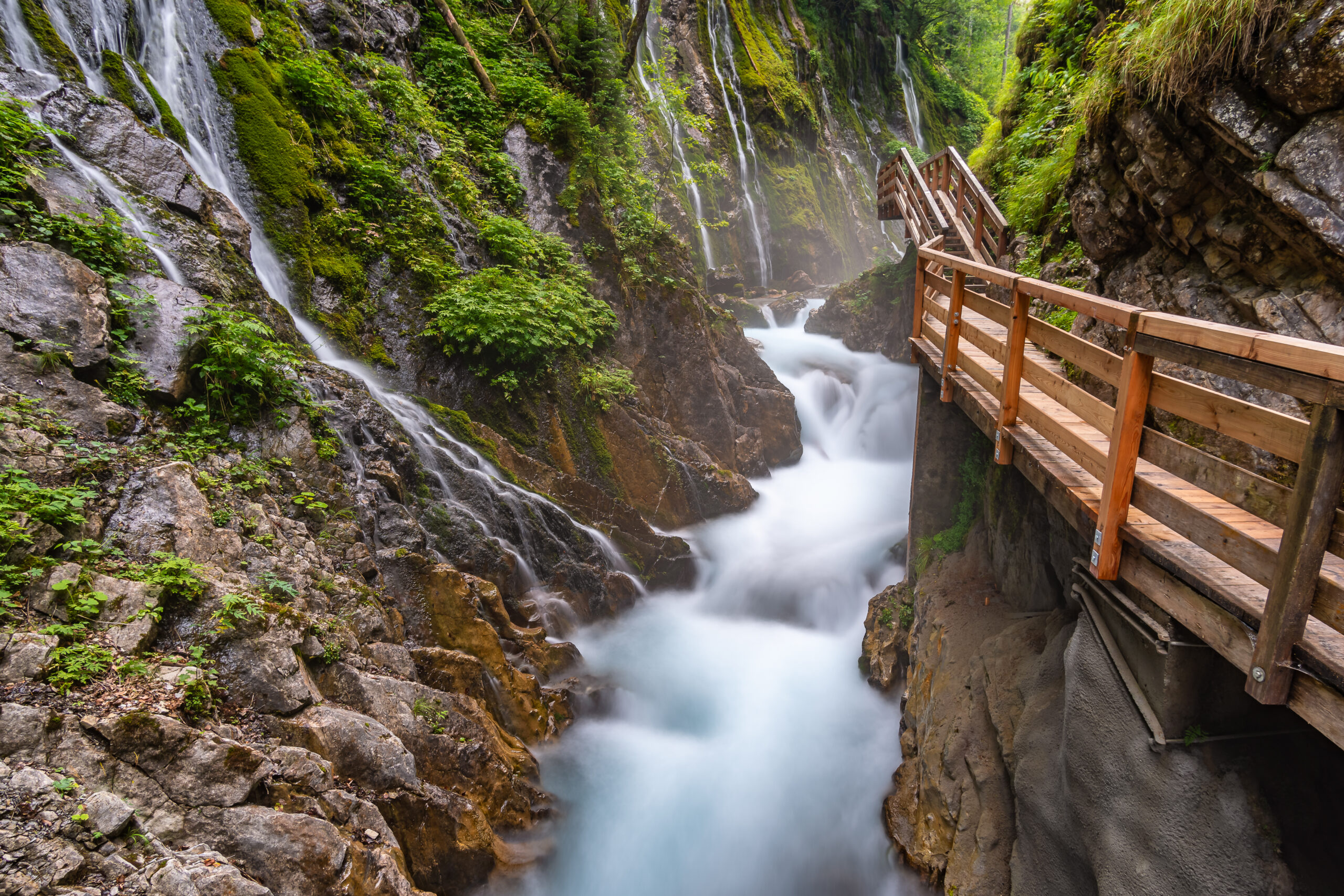 New ranking reveals which national parks are having global success: find out which ones are closest