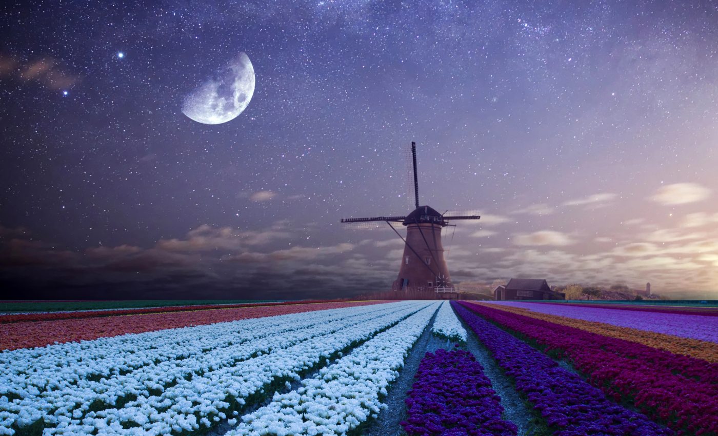 4 STARS attract LUCK and abundance until the end of APRIL 2026. Who are the stars' favorites during this period