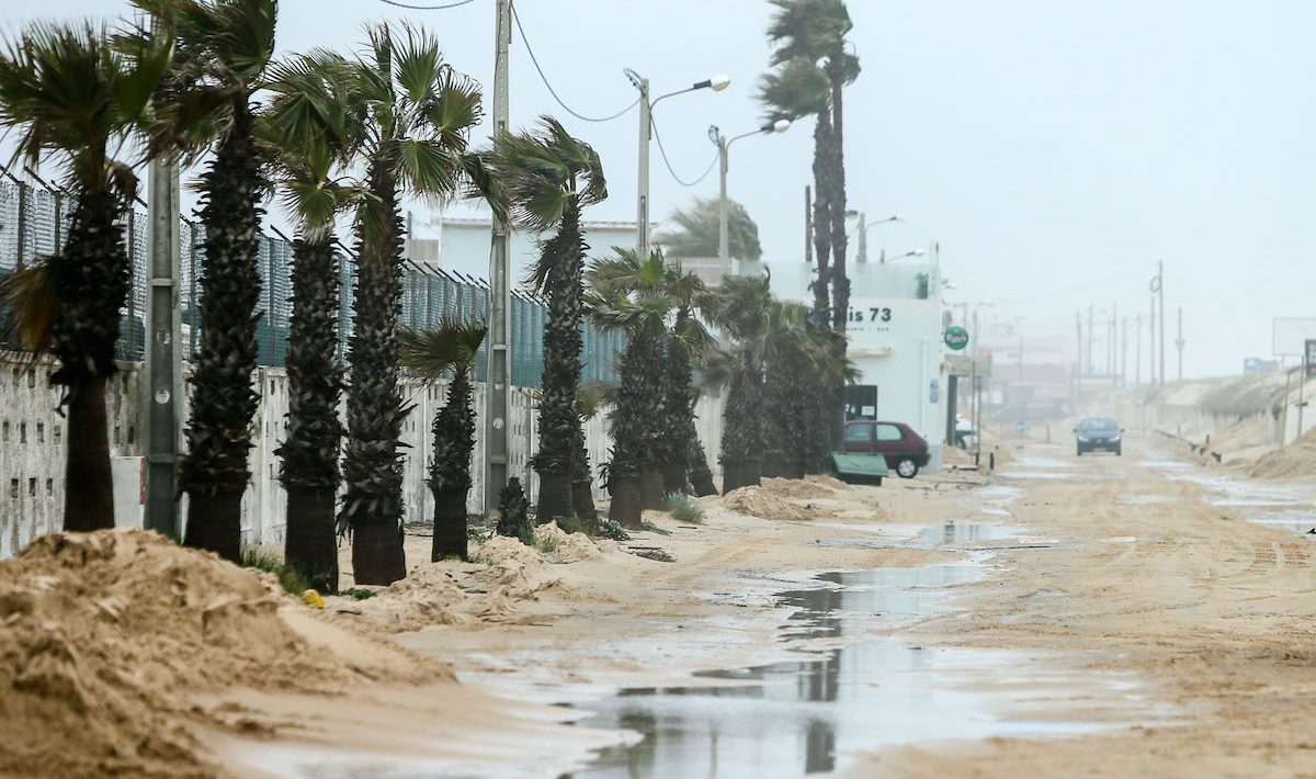 Extreme weather events put democracy at risk