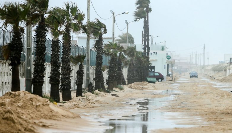 Extreme weather events put democracy at risk
