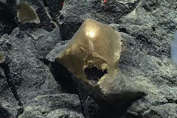 The mystery of the strange “golden sphere” found at the bottom of the sea in Alaska is solved