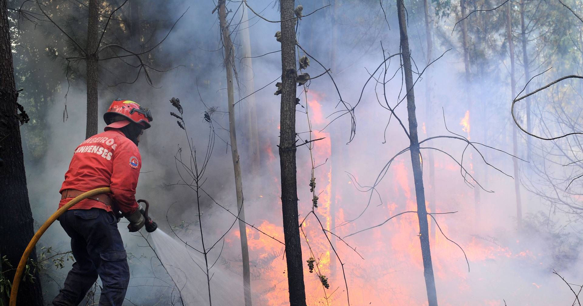 Fire in Vale de Cambra mobilized more than 130 operatives after unauthorized burning