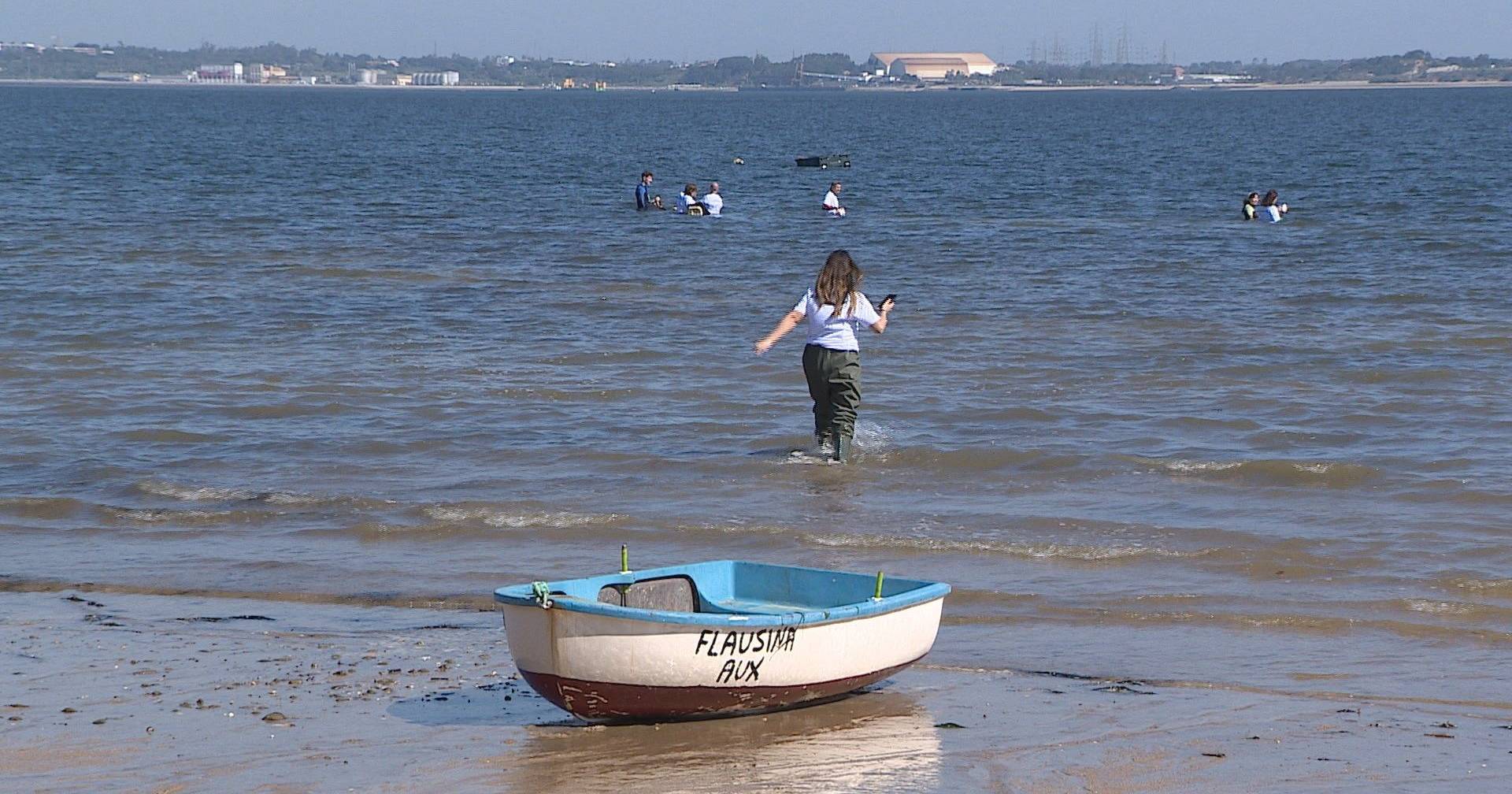 Anchors and mooring lines are threatening the ecosystem in the Sado Estuary
