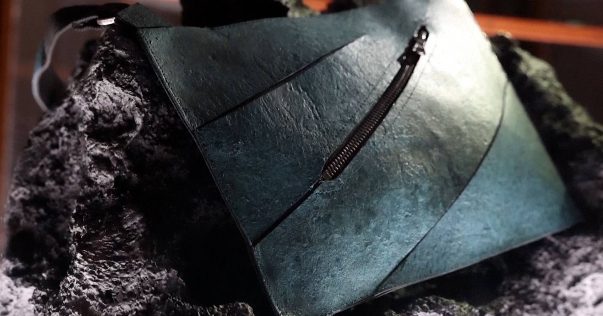 "T. rex leather" suitcase created by scientist divides opinions in the scientific community