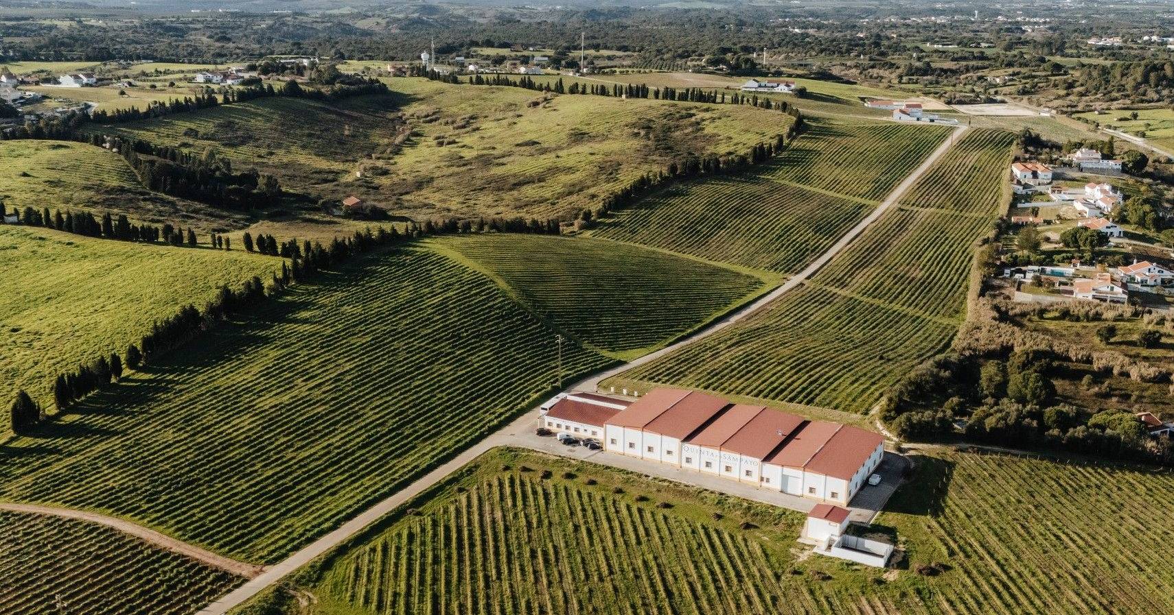Family saves century-old farm and creates unique experiences among vineyards and olive trees in Ribatejo