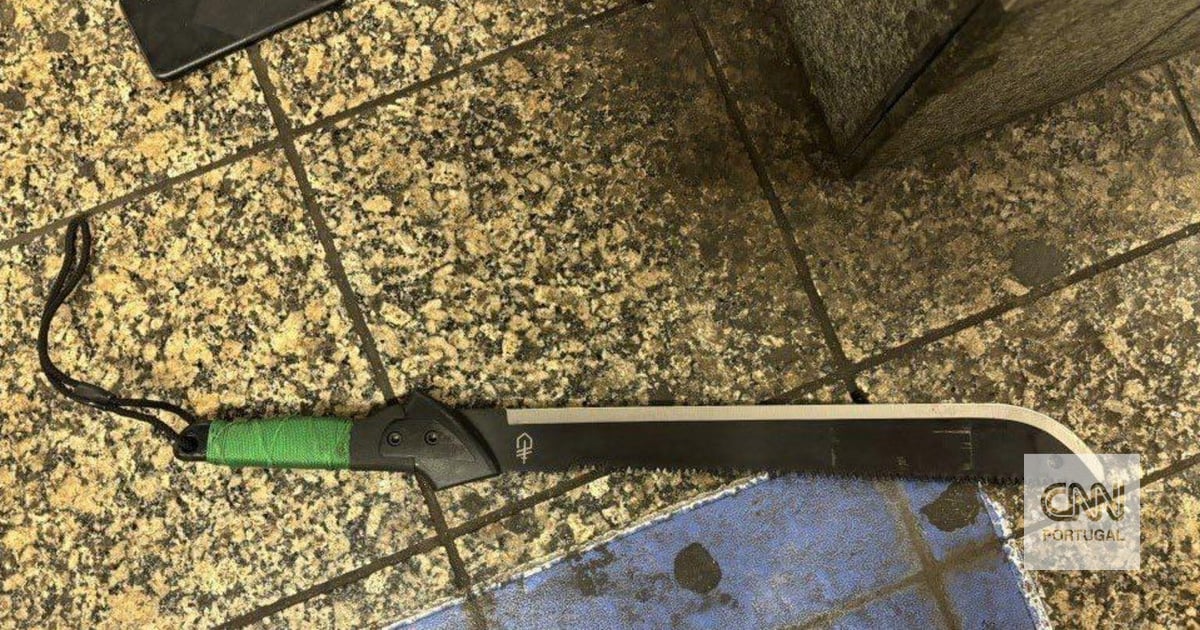 Man claiming to be “Lucifer” entered train station with machete. Attacked three people in New York