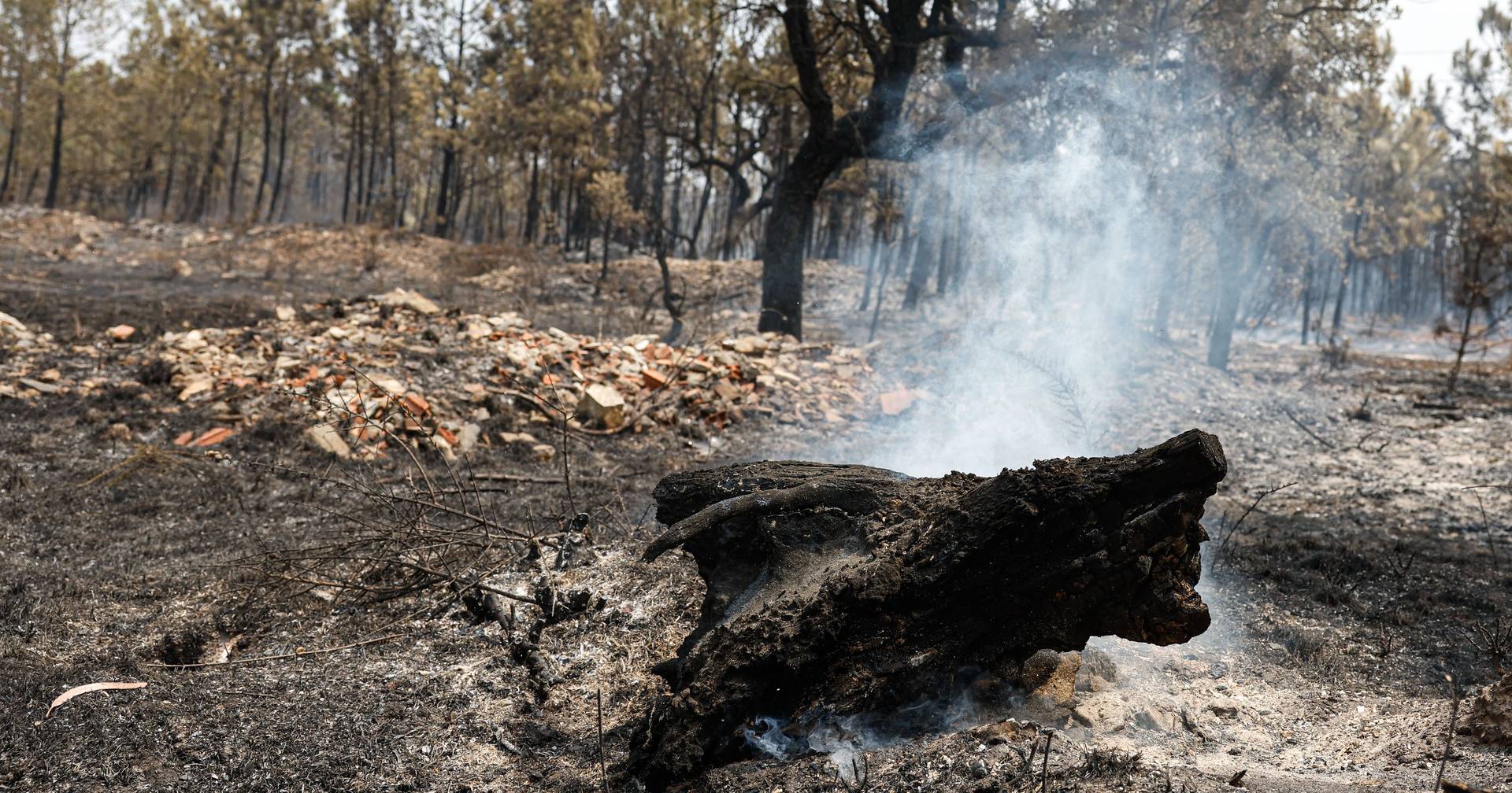 Experts use counterfire to control vegetation in Viseu