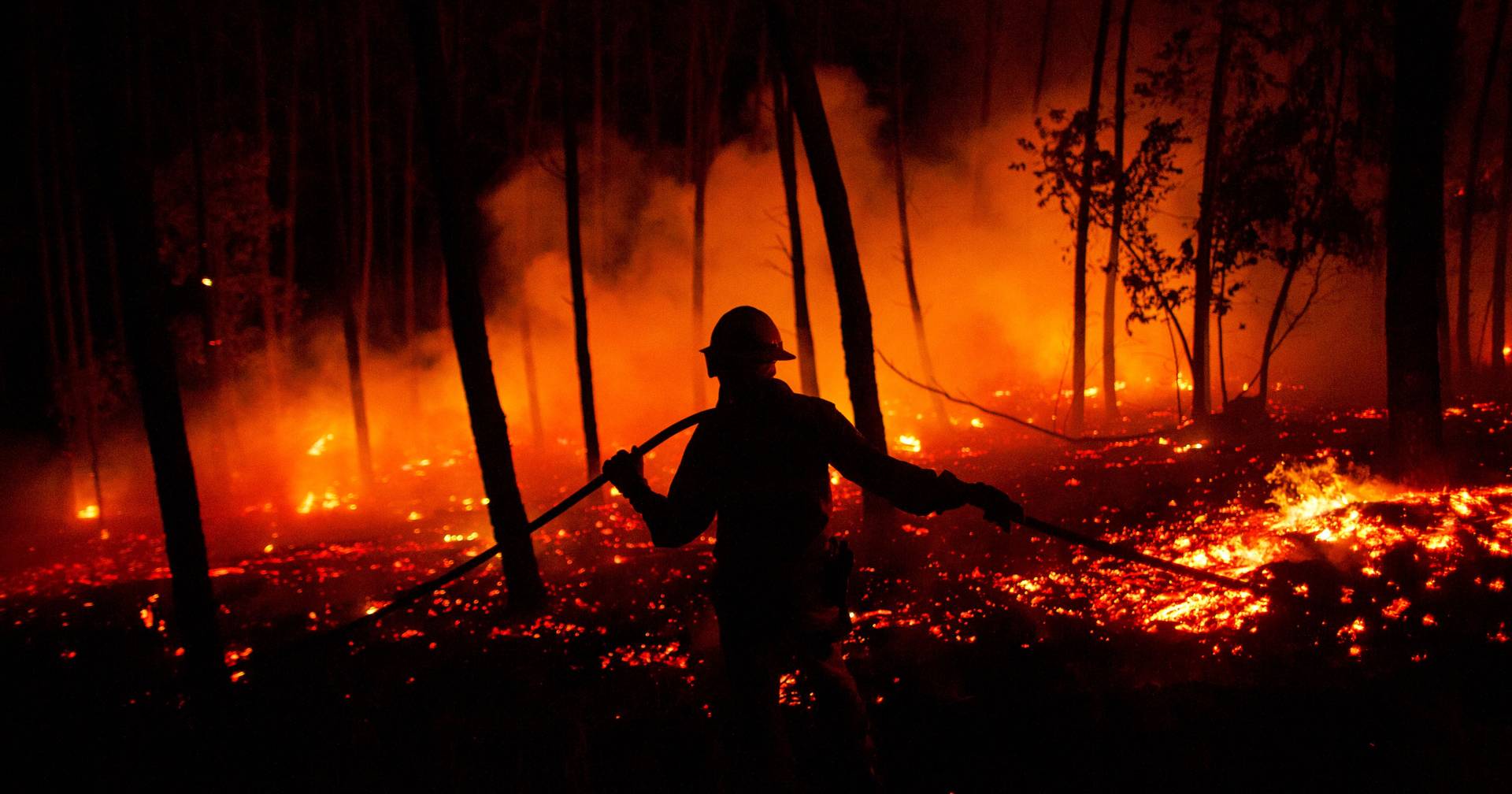 Who benefits from the "fire industry"? Expert heard in Parliament leaves warning for summer