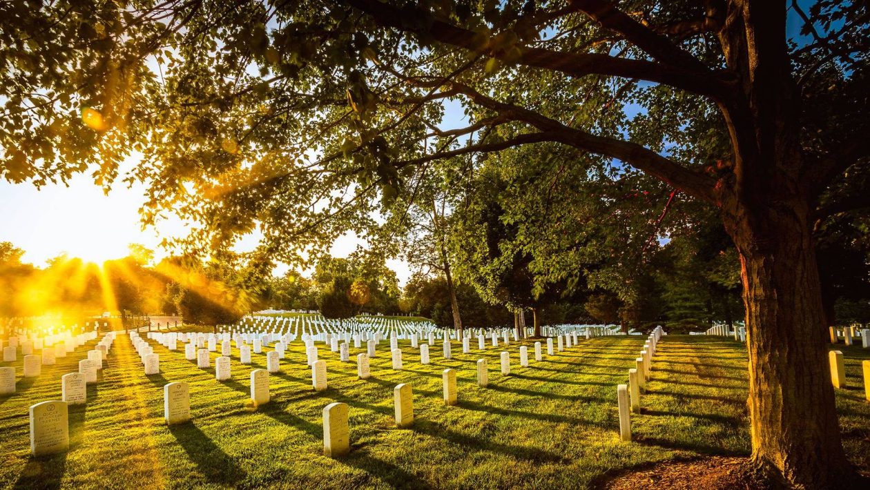 Does it make sense to die for a cause? In the name of what ideal would we give our lives?