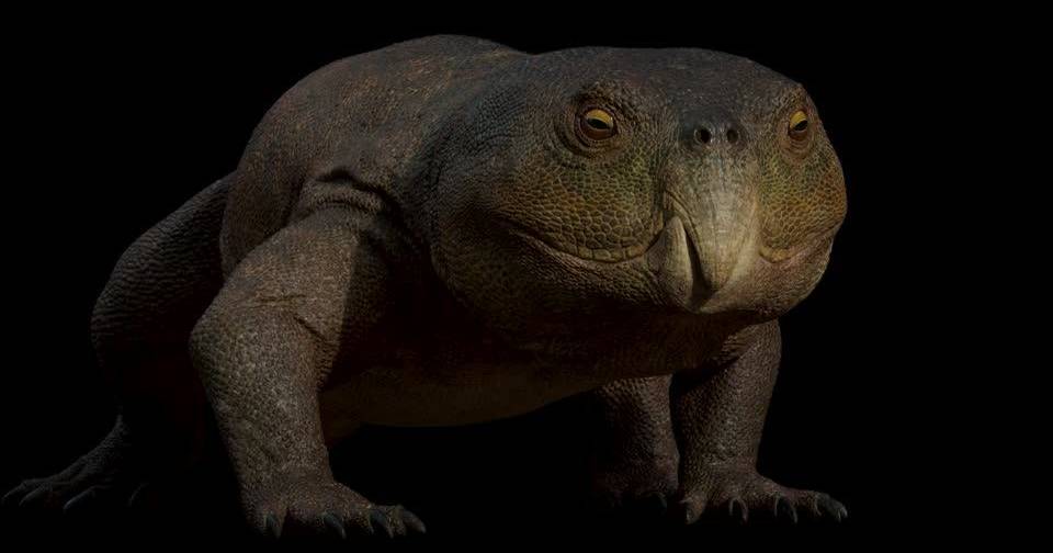 Scientists identify reptile in Brazil with a parrot's beak that is 230 million years old