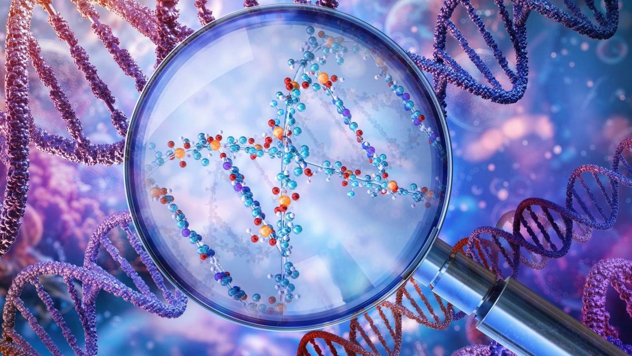 Study of DNA over 10 thousand years reveals new clues about human evolution