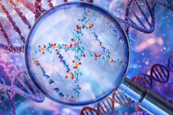 Study of DNA over 10 thousand years reveals new clues about human evolution