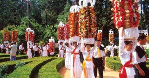 The people decided: Festa dos Tabuleiros takes place next year in Tomar