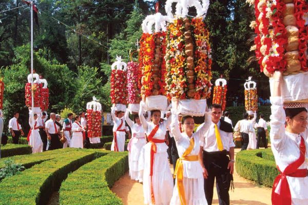 The people decided: Festa dos Tabuleiros takes place next year in Tomar