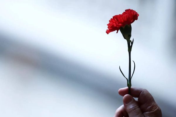 A film and other cultural suggestions to enjoy on the 25th of April