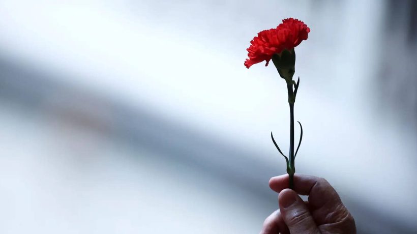 A film and other cultural suggestions to enjoy on the 25th of April