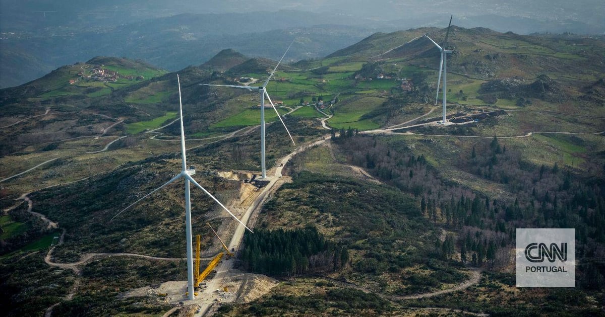 Renewable energies are no longer an "environmental issue": "They are a weapon of geopolitical defense"