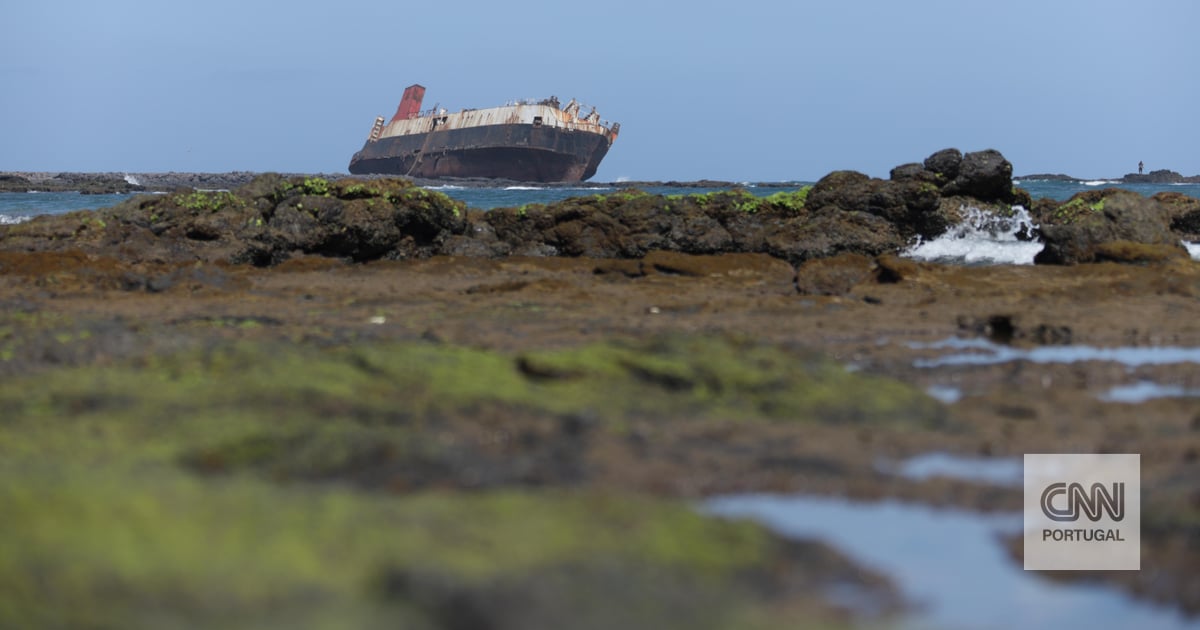 Twelve workers stranded on boat in Cape Verde for half a year