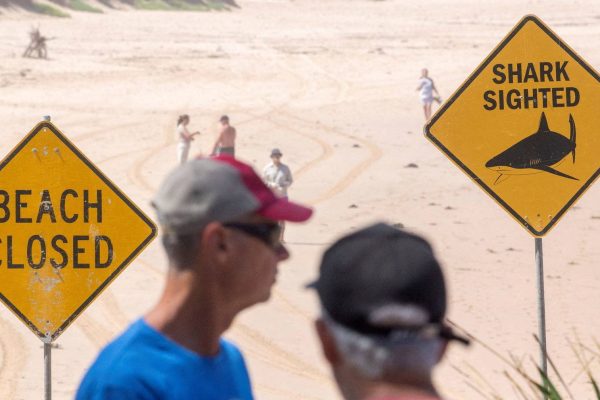 Several beaches closed in Sydney due to risk of shark attacks