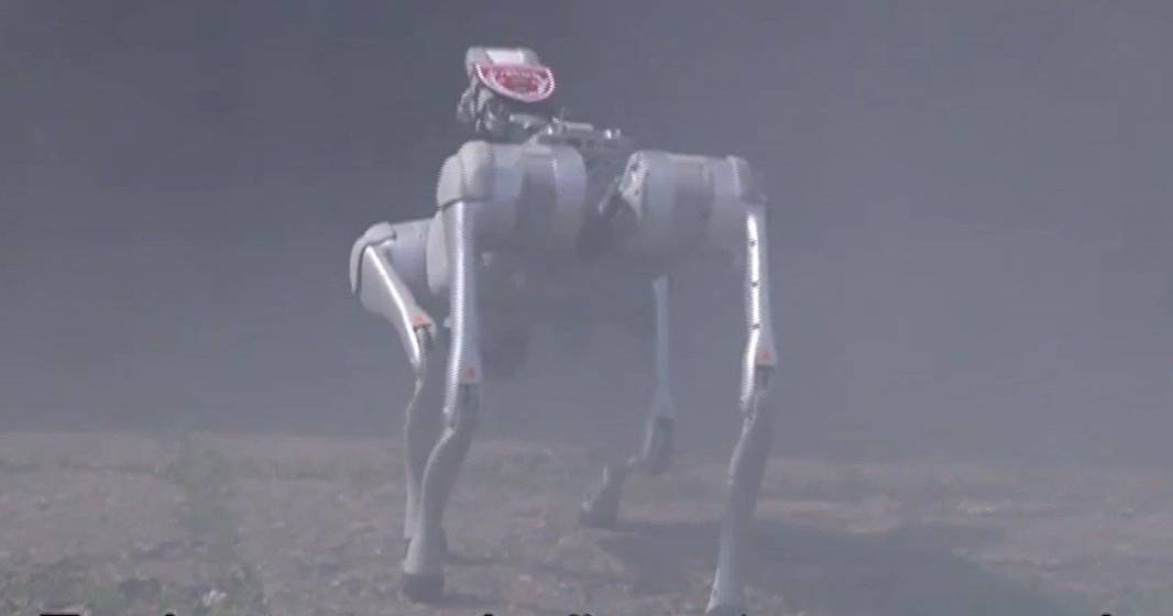 It looks like a spider, but it's a robot dog and can easily become a hero