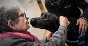 Registration for the award that takes care of those who age is now open