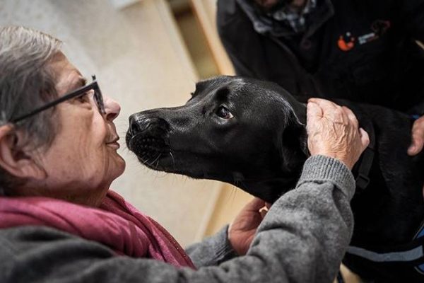 Registration for the award that takes care of those who age is now open