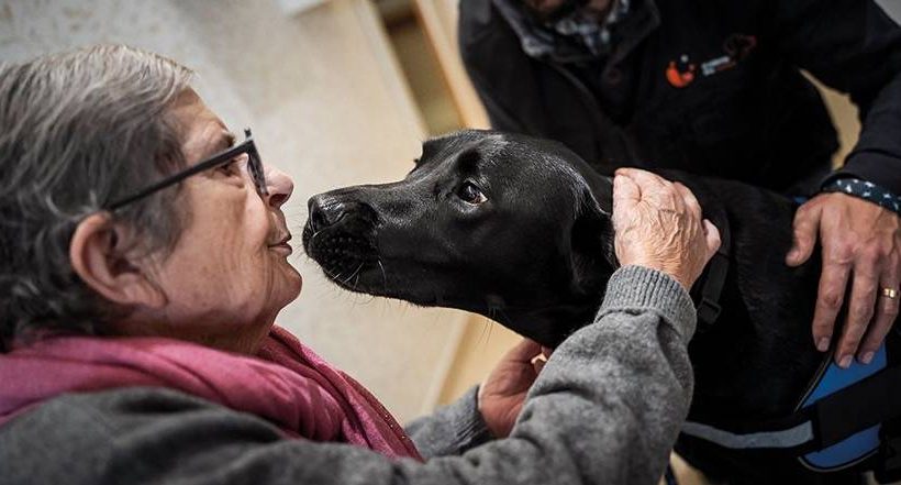 Registration for the award that takes care of those who age is now open