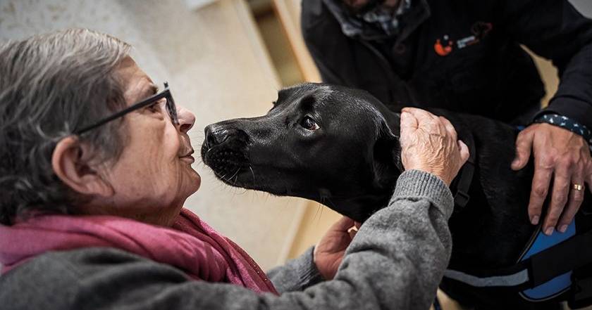 Registration for the award that takes care of those who age is now open