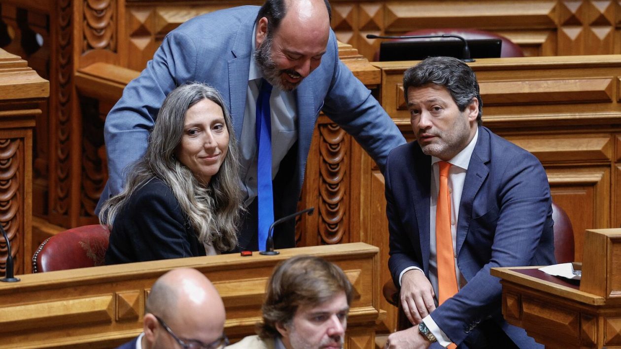 “André Ventura can definitely go to the asylum, I don’t see another place for him”