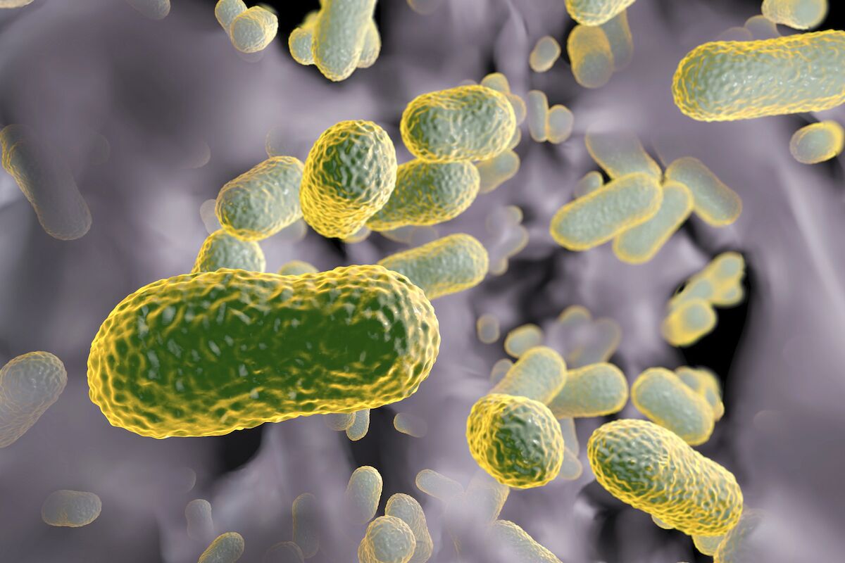 Scientists have discovered “Achilles’ heel” of deadly superbugs