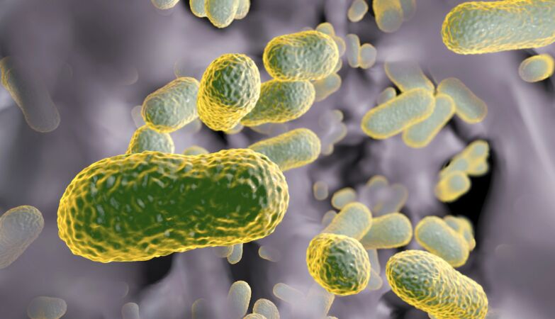 Scientists have discovered “Achilles’ heel” of deadly superbugs