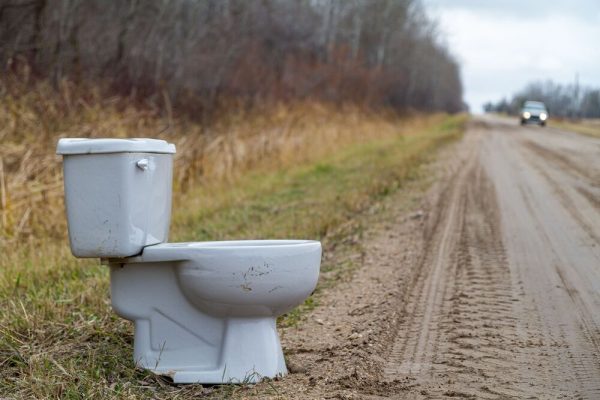 And a toilet under the car seat? Yes, it will happen