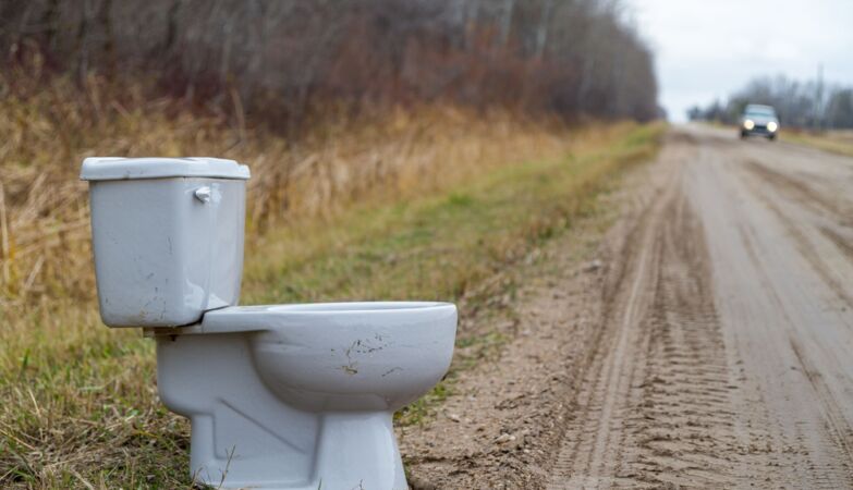 And a toilet under the car seat? Yes, it will happen