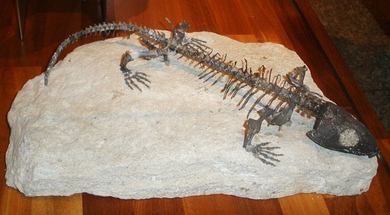 “Mummy” hid the origin of the human respiratory system