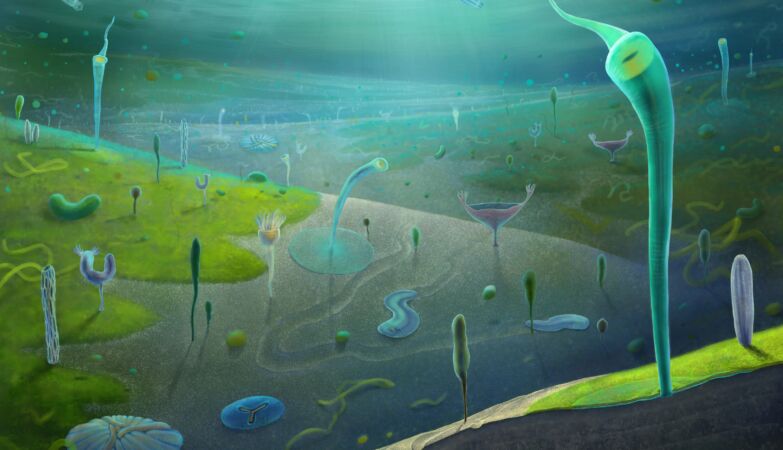 Animals (from the human group) were found that should not exist