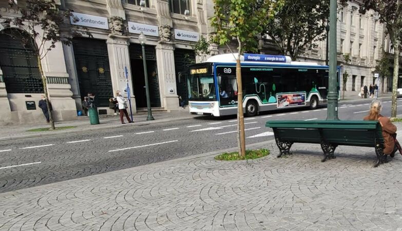 Municipalities in the North invest in free transport