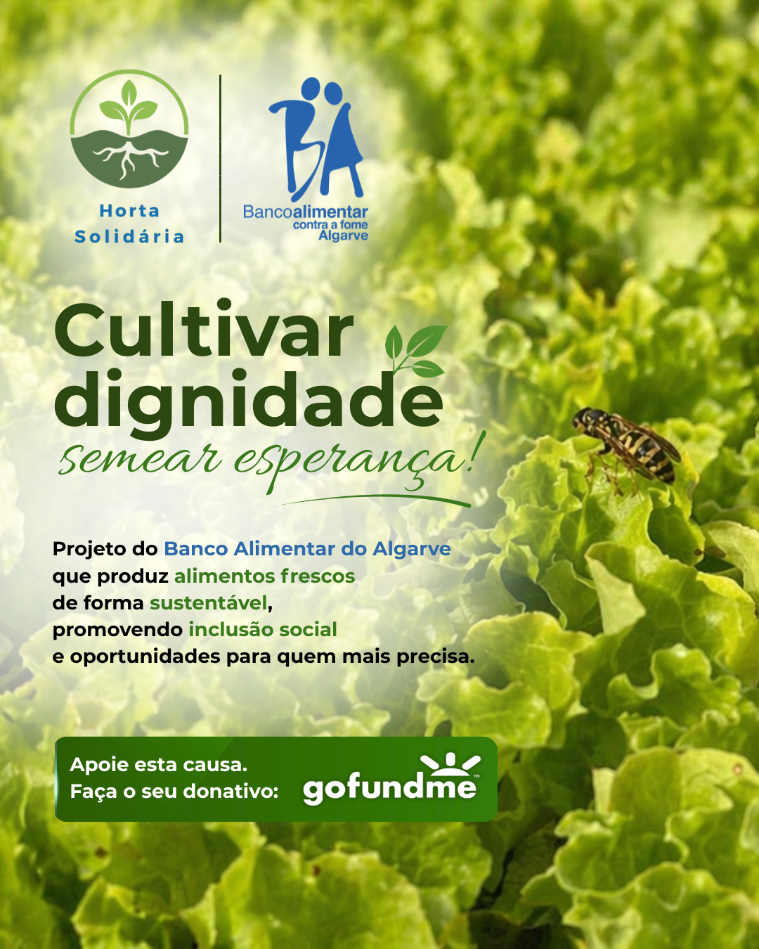 Campaign supports growth of Horta Solidária for Tavira and Portimão