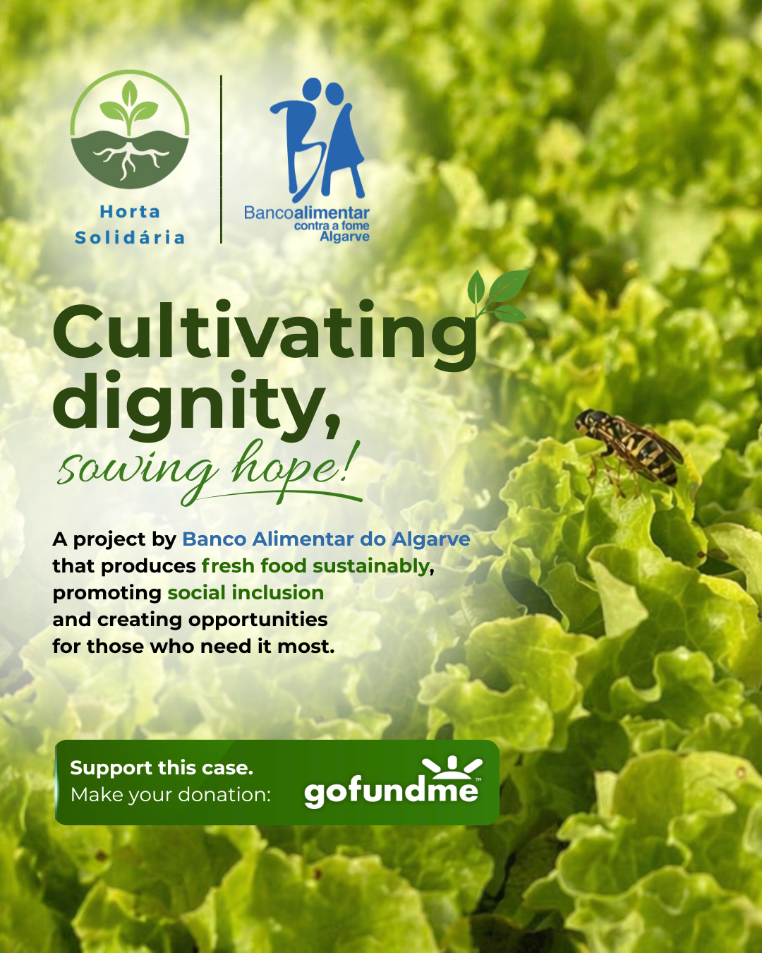 Campaign supports growth of Horta Solidária for Tavira and Portimão