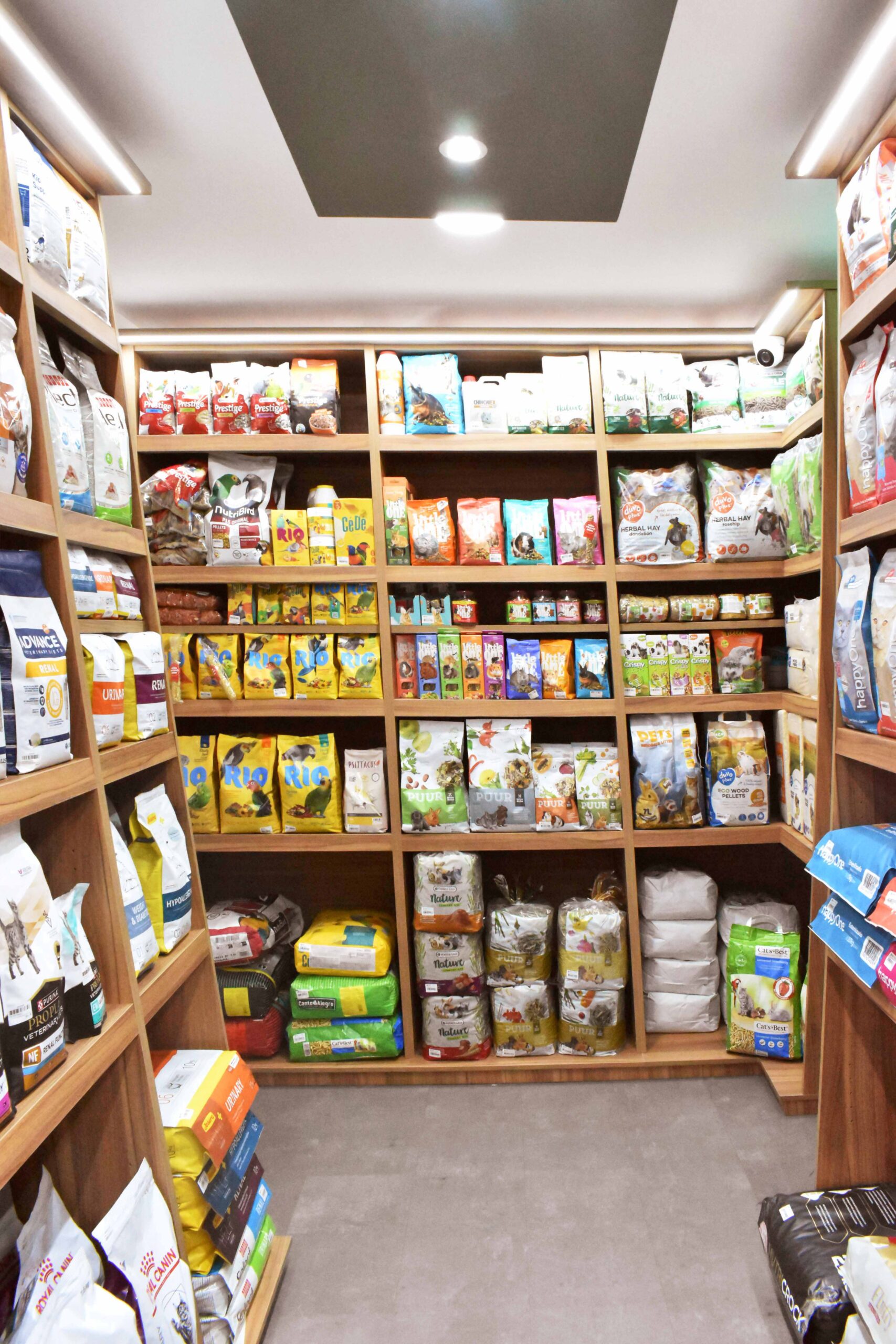 New Goldpet store reinforces offer for animals in the south