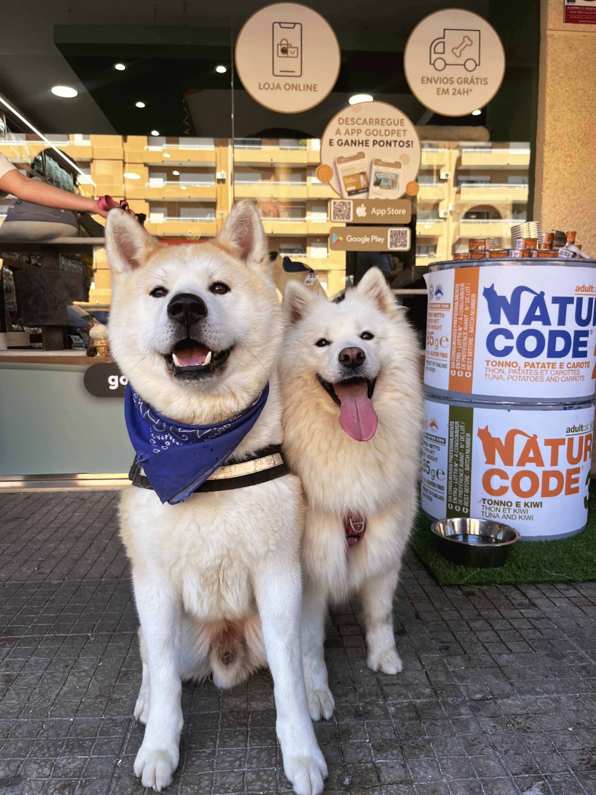 New Goldpet store reinforces offer for animals in the south