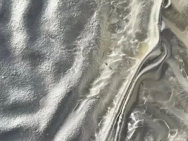 These boots were made for walking — just with mushroom “brains”