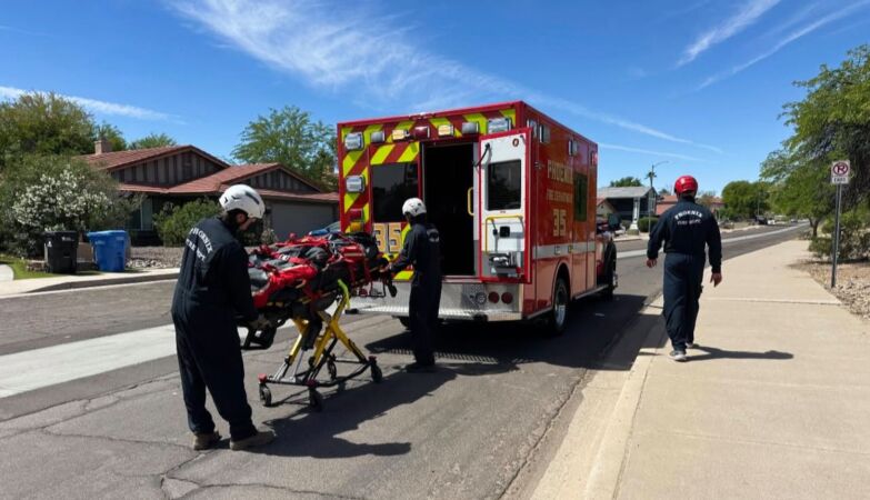 Hiker in critical condition after being stung more than 100 times by bees