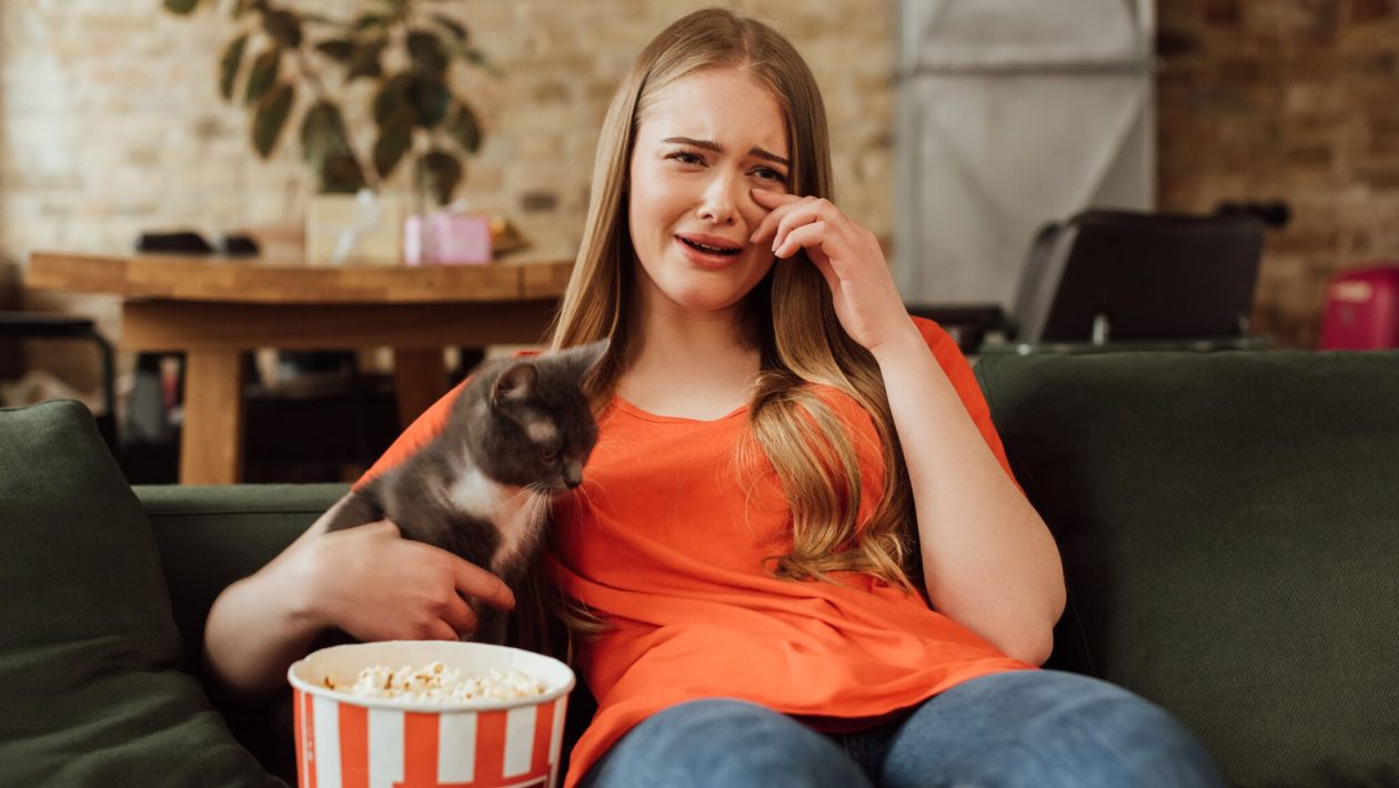 What is FOMO and why we are afraid of it being the Blitz