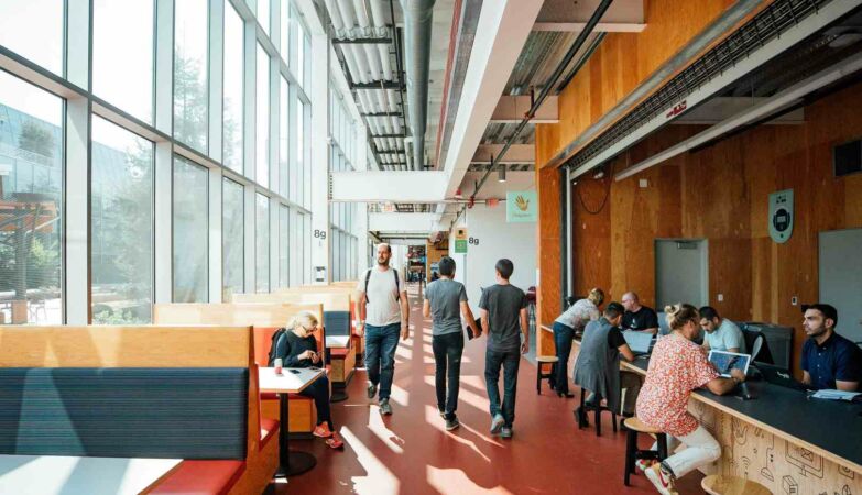 Fear: Meta workers have a difficult choice ahead of them