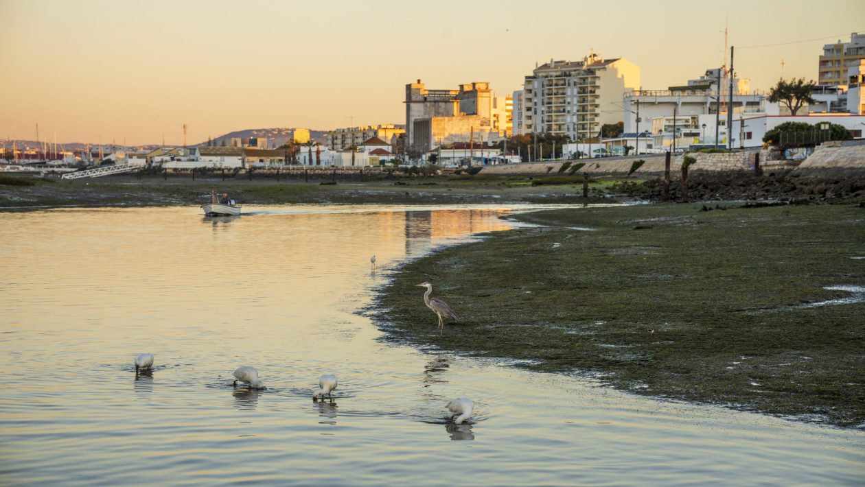 Take shelter from the heavy rain: in this coastal city where many pass by and few visit, the sun is guaranteed and there are boat trips for €5